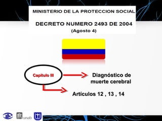 Capitulo III

Diagnóstico de
muerte cerebral
Artículos 12 , 13 , 14

 