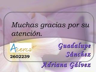 Guadalupe Sánchez Adriana Gálvez Muchas gracias por su atención. 2602239 