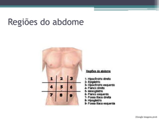 Regiões do abdome
(Google imagens,2016
 