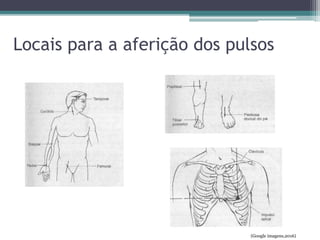 Locais para a aferição dos pulsos
(Google imagens,2016)
 