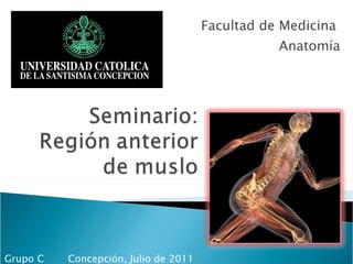 Facultad de Medicina  Anatomía Concepción, Julio de 2011  Grupo C 