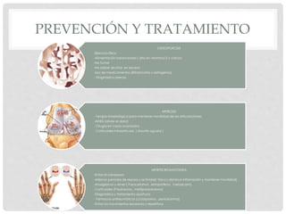 PREVENCIÓN Y TRATAMIENTO
OSTEOPOROSIS
-Ejercicio físico
-Alimentación balanceada ( alta en vitamina D y calcio)
-No fumar
-No beber alcohol en exceso
-Uso de medicamentos (Bifosfonatos y estrógenos)
- Diagnóstico precoz
ARTROSIS
- Terapia kinesiológica para mantener movilidad de las articulaciones.
-AINES (aliviar el dolor)
. Cirugía en casos avanzados
- Corticoides intraarticular, ( sinovitis agudas )
ARTRITIS REUMATOIDEA
-Evitar el sobrepeso
-Alternar periodos de reposo y actividad física ( disminuir inflamación y mantener movilidad)
-Analgésicos y Aines ( Paracetamol, ketoprofeno, meloxicam)
-Corticoides (Prednisona , metilprednisolona)
-Diagnóstico y tratamiento oportuno
- Farmacos antireumáticos (ciclosporina , penicilanima)
-Evitar los movimientos excesivos y repetitivos
 