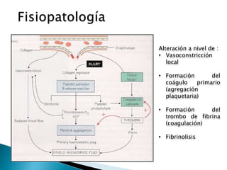 Alteración a nivel de :
• Vasoconstricción
local
• Formación del
coágulo primario
(agregación
plaquetaria)
• Formación del
trombo de fibrina
(coagulación)
• Fibrinolisis
 