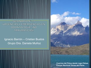 Ignacio Barrón – Cristian Bustos
Grupo Dra. Daniela Muñoz
Cuernos del Paine desde Lago Pehoé,
Parque Nacional Torres del Paine.
 