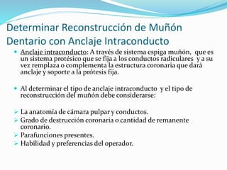 Determinar Reconstrucción de Muñón
Dentario con Anclaje Intraconducto
 Anclaje intraconducto: A través de sistema espiga muñón, que es
un sistema protésico que se fija a los conductos radiculares y a su
vez remplaza o complementa la estructura coronaria que dará
anclaje y soporte a la prótesis fija.
 Al determinar el tipo de anclaje intraconducto y el tipo de
reconstrucción del muñón debe considerarse:
 La anatomía de cámara pulpar y conductos.
 Grado de destrucción coronaria o cantidad de remanente
coronario.
 Parafunciones presentes.
 Habilidad y preferencias del operador.
 