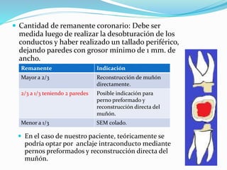  Cantidad de remanente coronario: Debe ser
medida luego de realizar la desobturación de los
conductos y haber realizado un tallado periférico,
dejando paredes con grosor mínimo de 1 mm. de
ancho.
Remanente Indicación
Mayor a 2/3 Reconstrucción de muñón
directamente.
2/3 a 1/3 teniendo 2 paredes Posible indicación para
perno preformado y
reconstrucción directa del
muñón.
Menor a 1/3 SEM colado.
 En el caso de nuestro paciente, teóricamente se
podría optar por anclaje intraconducto mediante
pernos preformados y reconstrucción directa del
muñón.
 