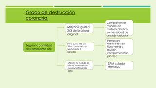 Según la cantidad
de remanente útil:
Grado de destrucción
coronaria:
Mayor o igual a
2/3 de la altura
original
Menos de 1/3 de la
altura coronaria o
ausencia total de
ésta
Entre 2/3 y 1/3 de
altura coronaria o
pérdida de 2
paredes
SPM colado
metálico
Pernos pre
fabricados de
fibro-resina y
muñón
complementario
plástico
Complementar
muñón con
material plástico,
sin necesidad de
anclaje radicular
 