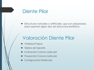 Valoración Diente Pilar
 Estructuras naturales o artificiales, que son preparados
para soportar algún tipo de estructura protética.
Diente Pilar
 Vitalidad Pulpar
 Tejidos de Soporte
 Inclinación Corono radicular
 Proporción Corono radicular
 Configuración Radicular
 