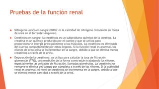 Pruebas de la función renal
 Nitrógeno ureico en sangre (BUN): es la cantidad de nitrógeno circulando en forma
de urea en el torrente sanguíneo.
 Creatinina en sangre: la creatinina es un subproducto químico de la creatina. La
creatina es un químico producido por el cuerpo y que se utiliza para
proporcionarle energía principalmente a los músculos. La creatinina es eliminada
del cuerpo completamente por estos órganos. Si la función renal es anormal, los
niveles de creatinina se incrementan en la sangre, debido a que se elimina menos
creatinina a través de la orina.
 Depuración de la creatinina: se utiliza para calcular la tasa de filtración
glomerular (TFG), una medición de la forma como están trabajando los riñones,
especialmente las unidades de filtración, llamadas glomérulos. La creatinina se
remueve o elimina del cuerpo por completo a través de los riñones. Si la actividad
renal es anormal, el nivel de creatinina se incrementa en la sangre, debido a que
se elimina menos cantidad a través de la orina.
 