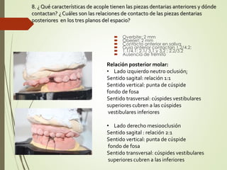 8. ¿ Qué características de acople tienen las piezas dentarias anteriores y dónde
contactan? ¿ Cuáles son las relaciones de contacto de las piezas dentarias
posteriores en los tres planos del espacio?
 Overbite: 2 mm
 Oberjet: 2 mm
 Contacto anterior en saliva
 Guía anterior contactan 1.2/4.2;
 1.1/4.1; 2.1/ 3.1 y 3.2 ; 2.2/3.2
 Ausencia de frémito
Relación posterior molar:
• Lado izquierdo neutro oclusión;
Sentido sagital: relación 1:1
Sentido vertical: punta de cúspide
fondo de fosa
Sentido trasversal: cúspides vestibulares
superiores cubren a las cúspides
vestibulares inferiores
• Lado derecho mesiooclusión
Sentido sagital : relación 2:1
Sentido vertical: punta de cúspide
fondo de fosa
Sentido transversal: cúspides vestibulares
superiores cubren a las inferiores
 