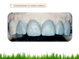 • Caracterizaciones en sectores estéticos
 