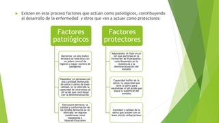  Existen en este proceso factores que actúan como patológicos, contribuyendo
al desarrollo de la enfermedad y otros que van a actuar como protectores:
Factores
patológicos
Bacterias: un alto índice
de placa se relaciona con
un pobre control de
higiene y mayor número de
patógenos
Hiposialia: en personas con
una cantidad disminuida
de saliva o saliva de mala
calidad, se ve alterada la
capacidad de neutralizar el
pH ácido que contribuye
con la desmineralización
Estructura dentaria: la
calidad y conformación de
los tejidos dentarios se ve
afectada en algunas
condiciones como
hipoplasias e
hipocalcificaciones
Factores
protectores
Adyuvantes: el fluor es un
ion que participa en la
formación de fluorapatita,
contribuyendo con la
resistencia a la
desmineralización del
esmalte
Capacidad buffer de la
saliva: la capacidad que
tiene la saliva para
neutralizar el pH ácido que
ataca la superficie del
esmalte
Cantidad y calidad de la
saliva que actúen con un
buen efecto atibacteriano
 