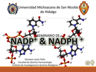 Universidad Michoacana de San Nicolás 
de Hidalgo 
SEMINARIO DE 
Donovan Javier Peña 
Facultad de Químico Farmacología 
Instituto de Investigaciones Químico Biológicas 
 