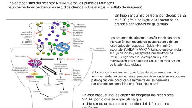 nmda y magnesio