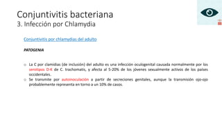 Conjuntivitis por chlamydias del adulto
PATOGENIA
o La C por clamidias (de inclusión) del adulto es una infección oculogenital causada normalmente por los
serotipos D-K de C. trachomatis, y afecta al 5-20% de los jóvenes sexualmente activos de los países
occidentales.
o Se transmite por autoinoculación a partir de secreciones genitales, aunque la transmisión ojo-ojo
probablemente representa en torno a un 10% de casos.
Conjuntivitis bacteriana
3. Infección por Chlamydia
 