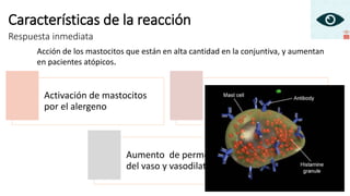 Características de la reacción
Respuesta inmediata
Acción de los mastocitos que están en alta cantidad en la conjuntiva, y aumentan
en pacientes atópicos.
Activación de mastocitos
por el alergeno
Producen Ig E en la
superficie mediadores
químicos como histamina
Aumento de permeabilidad
del vaso y vasodilatación.
 