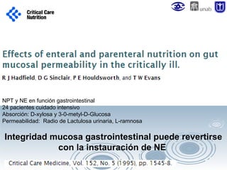 NPT y NE en función gastrointestinal
24 pacientes cuidado intensivo
Absorción: D-xylosa y 3-0-metyl-D-Glucosa
Permeabilidad: Radio de Lactulosa urinaria, L-ramnosa

Integridad mucosa gastrointestinal puede revertirse
con la instauración de NE

 