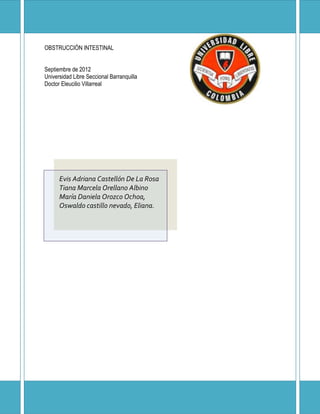OBSTRUCCIÓN INTESTINAL


Septiembre de 2012
Universidad Libre Seccional Barranquilla
Doctor Eleucilio Villarreal




      Evis Adriana Castellón De La Rosa
      Tiana Marcela Orellano Albino
      María Daniela Orozco Ochoa,
      Oswaldo castillo nevado, Eliana.
 