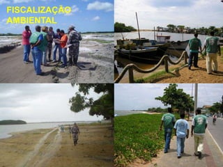 FISCALIZAÇÃO
AMBIENTAL
 