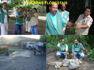 GUARDAS FLORESTAIS
 