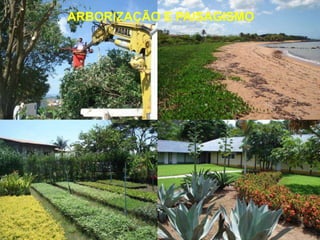 ARBORIZAÇÃO E PAISAGISMO
 