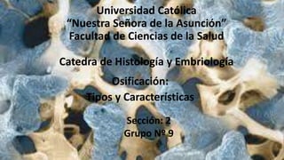 Universidad Católica
“Nuestra Señora de la Asunción”
Facultad de Ciencias de la Salud
Catedra de Histología y Embriología
Osificación:
Tipos y Características
Sección: 2
Grupo Nº 9
 