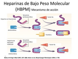 14
Weitz JI N Engl J Med 1997; 337: 688; Holst J et al. Blood Coagul Fibrinolysis 1994; 5: 795
Heparinas de Bajo Peso Molecular
(HBPM) Mecanismo de acción
Antitrombina
Secuencia
pentasacarídica
Heparina no fraccionada
Factor Xa
Trombina
Factor Xa
Secuencia
pentasacarídica
Heparina de
bajo peso
molecular
Antitrombina
 