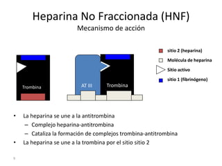 9
TrombinaAT III
Heparina No Fraccionada (HNF)
Mecanismo de acción
• La heparina se une a la antitrombina
– Complejo heparina-antitrombina
– Cataliza la formación de complejos trombina-antitrombina
• La heparina se une a la trombina por el sitio sitio 2
Sitio activo
sitio 1 (fibrinógeno)
sitio 2 (heparina)
Molécula de heparina
Trombina
 