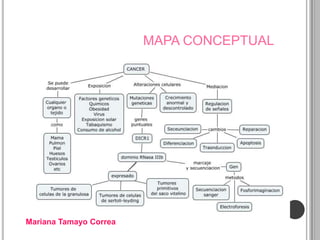 MAPA CONCEPTUAL




Mariana Tamayo Correa
 