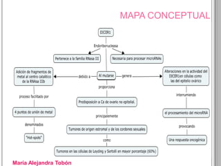 MAPA CONCEPTUAL




María Alejandra Tobón
 