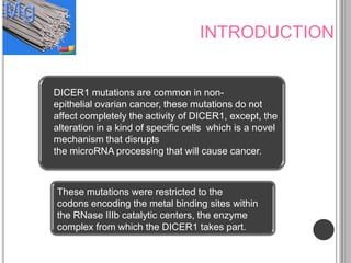 INTRODUCTION


DICER1 mutations are common in non-
epithelial ovarian cancer, these mutations do not
affect completely the activity of DICER1, except, the
alteration in a kind of specific cells which is a novel
mechanism that disrupts
the microRNA processing that will cause cancer.



These mutations were restricted to the
codons encoding the metal binding sites within
the RNase IIIb catalytic centers, the enzyme
complex from which the DICER1 takes part.
 
