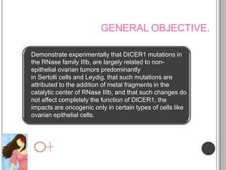 GENERAL OBJECTIVE.

Demonstrate experimentally that DICER1 mutations in
the RNase family IIIb, are largely related to non-
epithelial ovarian tumors predominantly
in Sertolli cells and Leydig, that such mutations are
attributed to the addition of metal fragments in the
catalytic center of RNase IIIb, and that such changes do
not affect completely the function of DICER1, the
impacts are oncogenic only in certain types of cells like
ovarian epithelial cells.
 