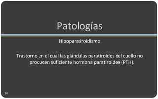 Patologías
Hipoparatiroidismo
Trastorno en el cual las glándulas paratiroides del cuello no
producen suficiente hormona paratiroidea (PTH).
24
 