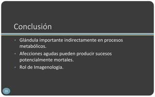 Conclusión
• Glándula importante indirectamente en procesos
metabólicos.
• Afecciones agudas pueden producir sucesos
potencialmente mortales.
• Rol de Imagenologia.
29
 