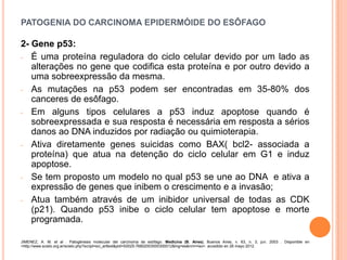 PATOGENIA DO CARCINOMA EPIDERMÓIDE DO ESÔFAGO

2- Gene p53:
- É uma proteína reguladora do ciclo celular devido por um lado as
   alterações no gene que codifica esta proteína e por outro devido a
   uma sobreexpressão da mesma.
- As mutações na p53 podem ser encontradas em 35-80% dos
   canceres de esôfago.
- Em alguns tipos celulares a p53 induz apoptose quando é
   sobreexpressada e sua resposta é necessária em resposta a sérios
   danos ao DNA induzidos por radiação ou quimioterapia.
- Ativa diretamente genes suicidas como BAX( bcl2- associada a
   proteína) que atua na detenção do ciclo celular em G1 e induz
   apoptose.
- Se tem proposto um modelo no qual p53 se une ao DNA e ativa a
   expressão de genes que inibem o crescimento e a invasão;
- Atua também através de um inibidor universal de todas as CDK
   (p21). Quando p53 inibe o ciclo celular tem apoptose e morte
   programada.

JIMENEZ, A. M. et al . Patogénesis molecular del carcinoma de esófago. Medicina (B. Aires), Buenos Aires, v. 63, n. 3, jun. 2003 . Disponible en
<http://www.scielo.org.ar/scielo.php?script=sci_arttext&pid=S0025-76802003000300012&lng=es&nrm=iso>. accedido en 28 mayo 2012.
 