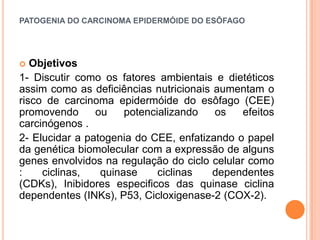 PATOGENIA DO CARCINOMA EPIDERMÓIDE DO ESÔFAGO




  Objetivos
1- Discutir como os fatores ambientais e dietéticos
assim como as deficiências nutricionais aumentam o
risco de carcinoma epidermóide do esôfago (CEE)
promovendo      ou    potencializando   os    efeitos
carcinógenos .
2- Elucidar a patogenia do CEE, enfatizando o papel
da genética biomolecular com a expressão de alguns
genes envolvidos na regulação do ciclo celular como
:    ciclinas,   quinase     ciclinas   dependentes
(CDKs), Inibidores especificos das quinase ciclina
dependentes (INKs), P53, Cicloxigenase-2 (COX-2).
 