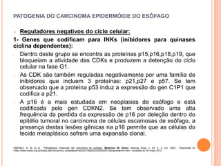 PATOGENIA DO CARCINOMA EPIDERMÓIDE DO ESÔFAGO

  Reguladores negativos do ciclo celular:
1- Genes que codificam para INKs (inibidores para quinases
ciclina dependentes):
- Dentro deste grupo se encontra as proteínas p15,p16,p18,p19, que
   bloqueiam a atividade das CDKs e produzem a detenção do ciclo
   celular na fase G1.
- As CDK são também reguladas negativamente por uma família de
   inibidores que incluem 3 proteínas: p21,p27 e p57. Se tem
   observado que a proteína p53 induz a expressão do gen C1P1 que
   codifica a p21.
- A p16 é a mais estudada em neoplasias de esôfago e está
   codificada pelo gen CDKN2. Se tem observado uma alta
   frequência da perdida da expressão de p16 por deleção dentro do
   epitélio tumoral no carcinoma de células escamosas de esôfago, a
   presença destas lesões gênicas na p16 permite que as células do
   tecido metaplásico sofram uma expansão clonal.

JIMENEZ, A. M. et al . Patogénesis molecular del carcinoma de esófago. Medicina (B. Aires), Buenos Aires, v. 63, n. 3, jun. 2003 . Disponible en
<http://www.scielo.org.ar/scielo.php?script=sci_arttext&pid=S0025-76802003000300012&lng=es&nrm=iso>. accedido en 28 mayo 2012.
 