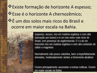 Existe formação de horizonte A espesso;
Esse é o horizonte A chernozêmico;
É um dos solos mais ricos do Brasil e
ocorre em maior escala na Bahia.
 