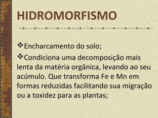 HIDROMORFISMO
Encharcamento do solo;
Condiciona uma decomposição mais
lenta da matéria orgânica, levando ao seu
acúmulo. Que transforma Fe e Mn em
formas reduzidas facilitando sua migração
ou a toxidez para as plantas;
 