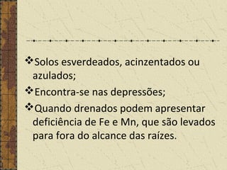 Solos esverdeados, acinzentados ou
azulados;
Encontra-se nas depressões;
Quando drenados podem apresentar
deficiência de Fe e Mn, que são levados
para fora do alcance das raízes.
 