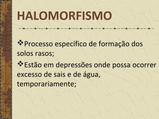 Processo específico de formação dos
solos rasos;
Estão em depressões onde possa ocorrer
excesso de sais e de água,
temporariamente;
HALOMORFISMO
 
