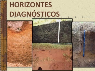 HORIZONTES
DIAGNÓSTICOS
 