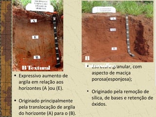 • Expressivo aumento de
argila em relação aos
horizontes (A )ou (E).
• Originado principalmente
pela translocação de argila
do horizonte (A) para o (B).
• Estrutura granular, com
aspecto de maciça
porosa(esponjosa);
• Originado pela remoção de
sílica, de bases e retenção de
óxidos.
BTextural
B
Latossólico
 