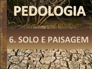 6. SOLO E PAISAGEM
 