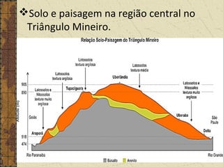 Solo e paisagem na região central no
Triângulo Mineiro.
 