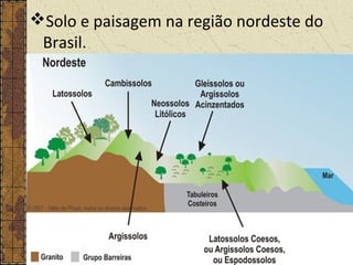 Solo e paisagem na região nordeste do
Brasil.
 