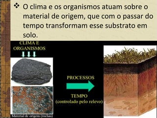  O clima e os organismos atuam sobre o
material de origem, que com o passar do
tempo transformam esse substrato em
solo.
 
