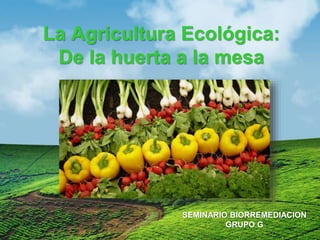 La Agricultura Ecológica:
De la huerta a la mesa
SEMINARIO BIORREMEDIACION
GRUPO G
 