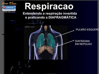 PULMÃO ESQUERDO 
DIAFRÁGMA 
EM REPOUSO 
Visite loja online 
Respiracao 
Entendendo a respiração invertida 
e praticando a DIAFRAGMÁTICA 
 