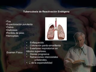 Tuberculosis de Reactivación Endógena Tos Expectoración purulenta Fiebre  Diaforesis Perdida de peso Hemoptisis Enflaquecido Coloración pardo-amarillenta Estertores inspiratorios en lóbulos superiores. Disnea progresiva Retracciones intercostales  unilaterales. de la expansibilidad Examen Físico 